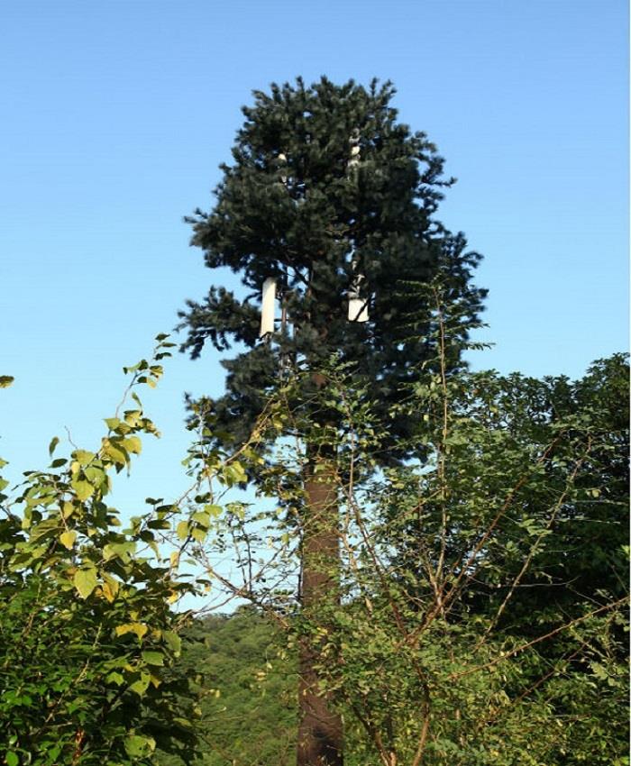 Camouflaged Pine Tree Towers